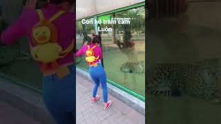 Clip Triệu View Đỉnh Cao Của Tiktok Trung Hoap331