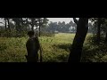 Streamin&39 Red Dead Online -S5-