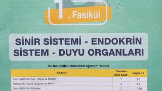 Testokulu Ayt Biyoloji Konu Anlatım Föyü-Endokrin Sistem-2Tiroid,Paratiroid, Böbreküstü Bezi