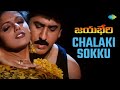 Chalaki Sokku Video Song | Jayabheri | Suman, Nepolia | Koti