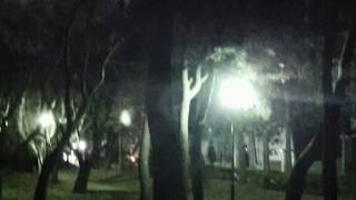 Kono Yo No Hana Shimakura Chiyoko Guitar Hideki Furuichi Kono Yo No Hana Shimakura Chiyoko Guitar Hideki Furuichi