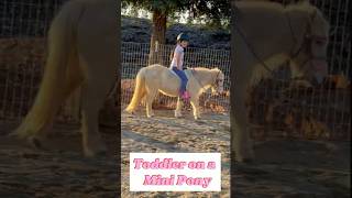Kids Ride Horses Toddler On A Mini Pony