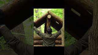 Building a Log Cabin in the Woods from Wind-Fallen Trees | FULL VIDEO ON MY CHANNEL