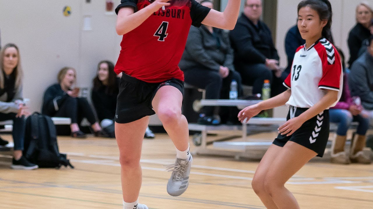 ALBERTA YOUTH TEAM HANDBALL LEAGUE
