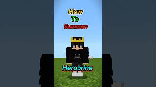 I Summon A Heroine In Minecraft? Epic Adventure