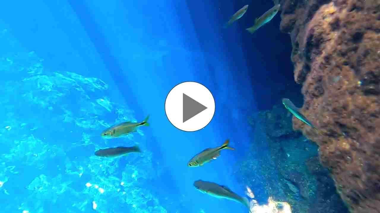 Nicte Ha Cenote (inside Dos Ojos park) near Tulum Mexico - Adventure Guru