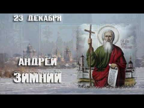 Отпугивание крыс и мышей своими руками 98