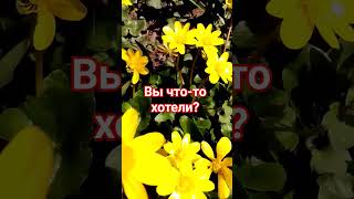 Юра Шатунов/Теперь Мне Лучшим Другом Будет Телефон/01.04.24Г.юшж❤️