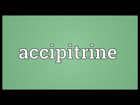 Header of accipitrine