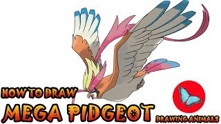 How To Draw Mega Pidgeot From Pokemon Drawing Animals