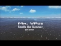 Mr Vpoz Presents Smells Like Summer Ibiza Edition 