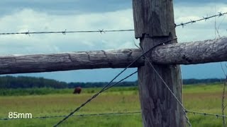 The Best Camera Lens for Landscape Photography : Landscape Photography