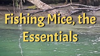 Mice Fishing Essentials