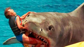 En Kötü 10 Köpekbalığı Saldırısı