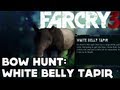 Part 1 In-Game Path of the Hunter Locations Video