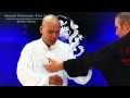 Tai Chi Grand Ultimate Fist 2 Lesson 7