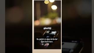 Xaiş Etsəm Takib Ata Bilərsiz Səhifəm Yenidir