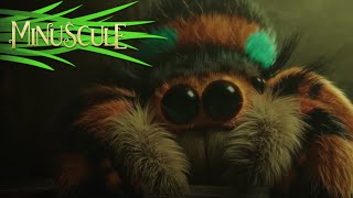 Discover An Extract Of Minuscule - Mandibles From Far Away The Cave Of The Hairy Spider