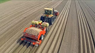 Potato Planting | Challenger MT 765D + Dewulf Miedema planter | Veerman Goudswaard
