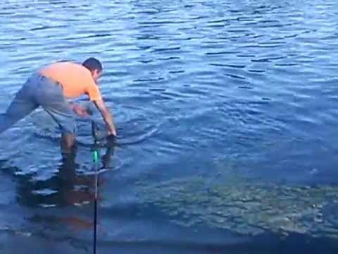 поймал щуку перевернул лодку видео поймал щуку перевернул лодку видео