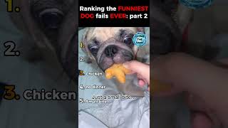 Ranking The Funniest Dog Fails Ever Part 2