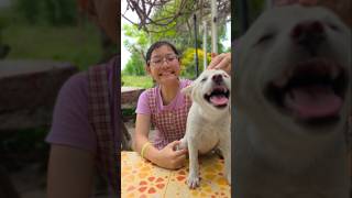 Cute Girl Love With Good Puppy Jjaipan