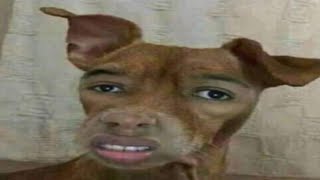 Epic Memes That Broke The Internet
