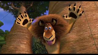 Madagascar Part 21