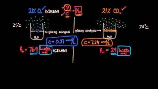 O2 Ve Co2 Çözünürlüğü Sağlık Bilgisi Ve Tıp Solunum Sistemi Fizyolojisi