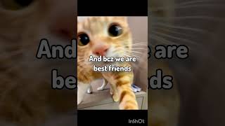Send Thisss To Your Best Friend