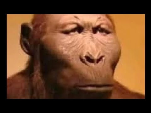 Video que se estrena cuando llegue de la escuela Video que se estrena cuando llegue de la escuela