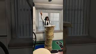 Hour of Power