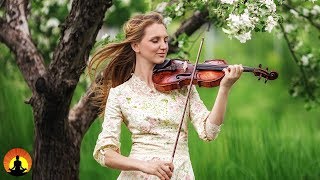 Ontspannende Muziek voor Stress Verlichting, Klassieke Muziek Relaxen, Achtergrondmuziek, ♫E224