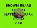 Brown Bears # 2, Katmai Nat Park, 2008