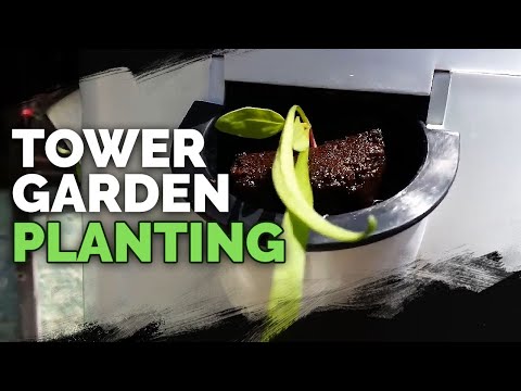 "Tower Garden Planting" by Epic Gardening - YouTube