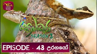 Sobadhara - Sri Lanka Wildlife Documentary | 2020-02-28