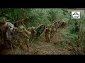 Phim Ng N M U Chi N Tranh Vi T images Phim Ng N M U Chi N Tranh Vi T