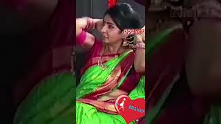 Tamil Serial Actress Priyadharshini Show