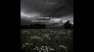 Eminem Suı Tekledi-