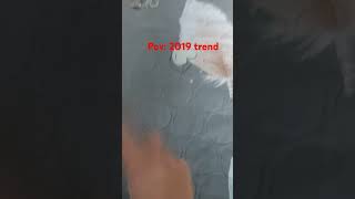 3 Decembrie 2024