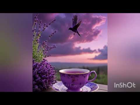 Jutro ☕💜#shortvideo #dobrojutro @KatarinaSreckovic-fd9kp
