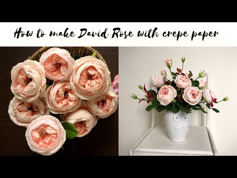 Làm Hồng David bằng giấy, How to make David Rose with crepe paper| Giáng Sinh Handmade