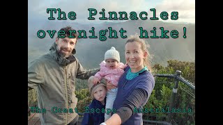 Our first overnight hike with kids! | Pinnacles Hut | Coromandel, New Zealand