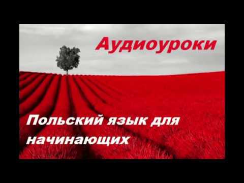 Скачать аудио уроки польского языка Скачать аудио уроки польского языка