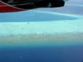 Maldivian Air Taxi -Sea Plane Landing