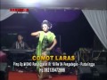 Organ Lengger - Ijo Ijo