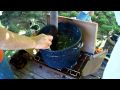 The Chicken Killing Process
