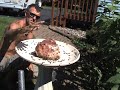 Honey bee glove and close up of Hornets fun experiment EPIC