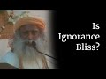 Is Ignorance Bliss? | Sadhguru