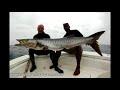 vidéos chasse sous marine hd